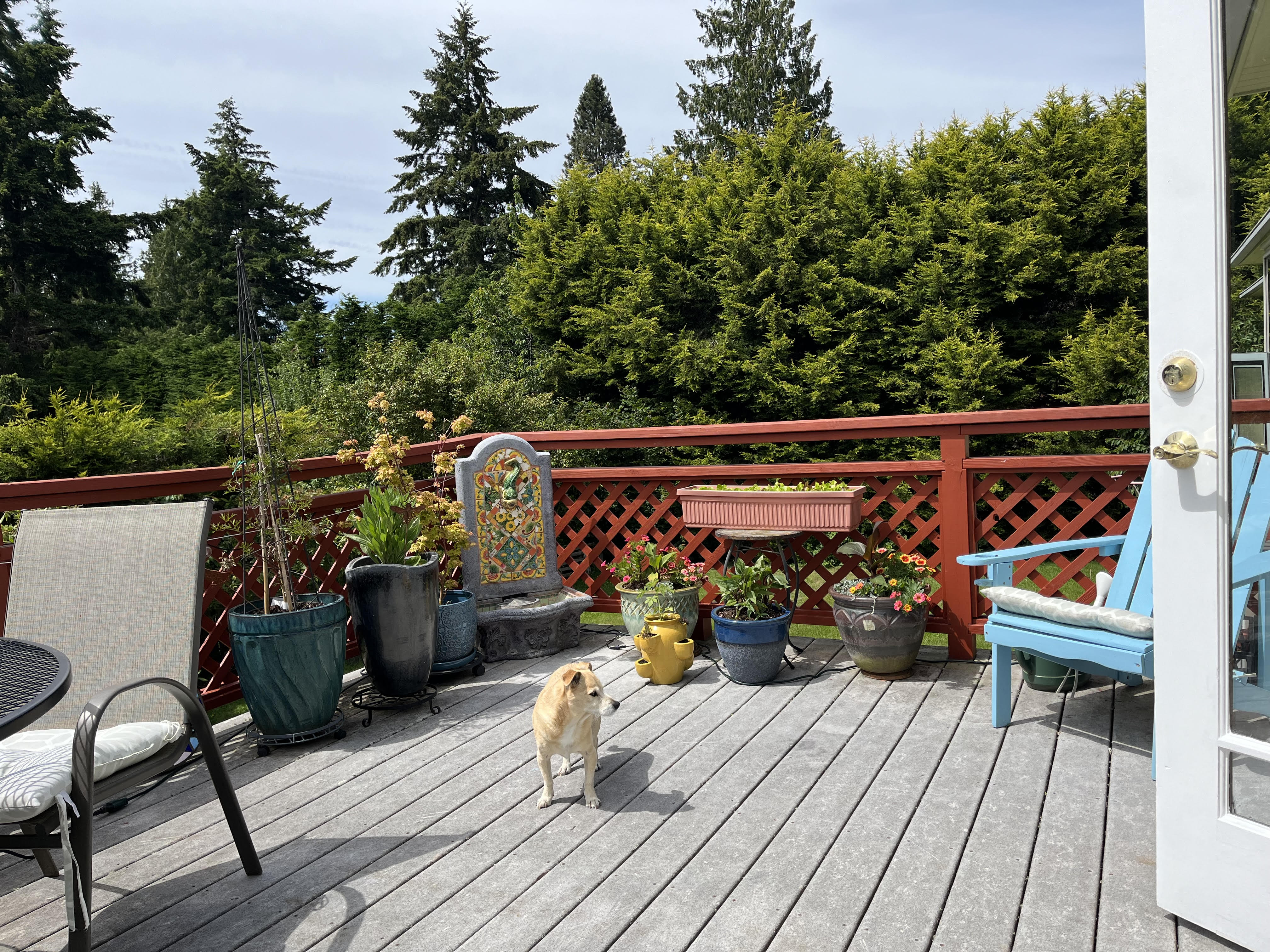 20240613-233130379-a14f-14fe84fec9a7_House deck 2.jpg